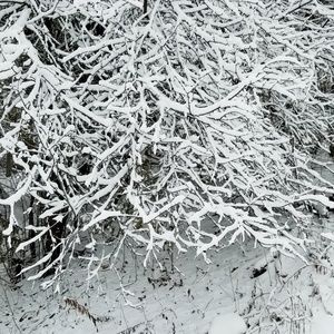 Meet your Posher, Vadim